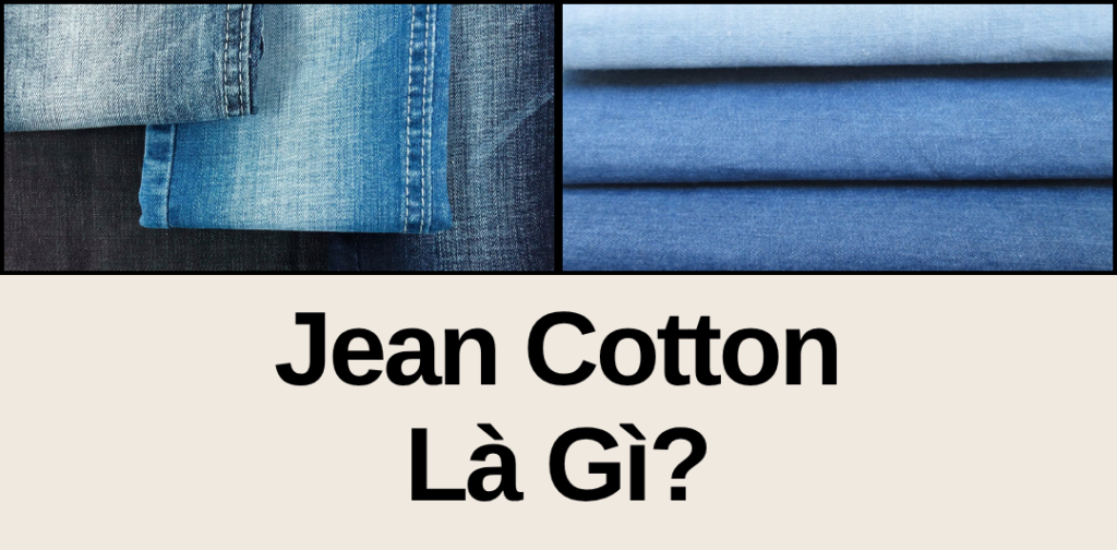 jean cotton là gì